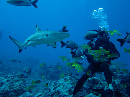 Bora Bora Scuba