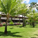 Bora Bora Hotels
