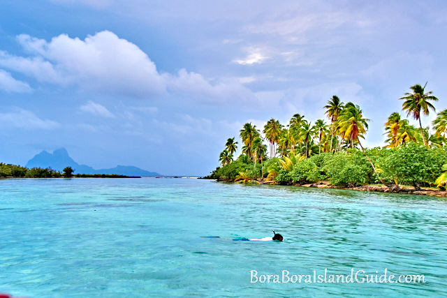 Snorkeling in Tahaa