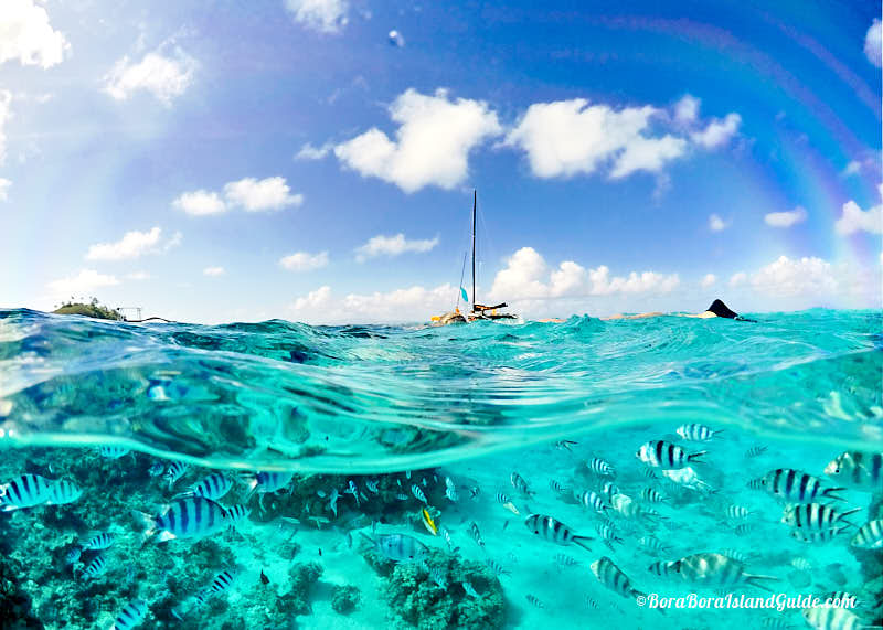 vitamin sea catamaran