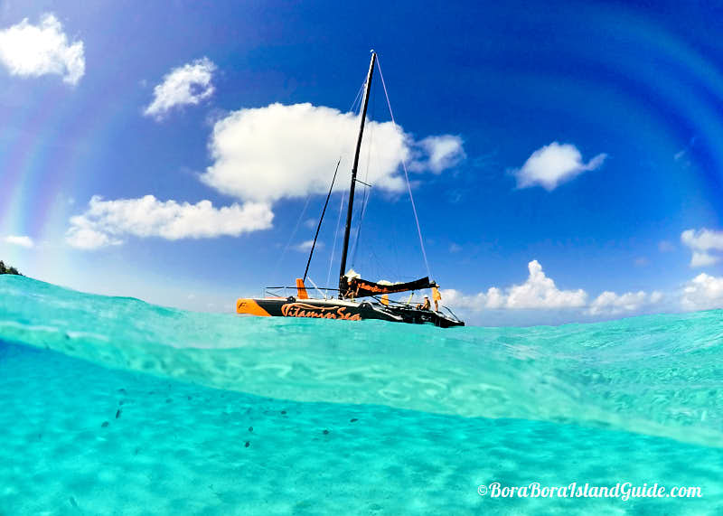 vitamin sea catamaran