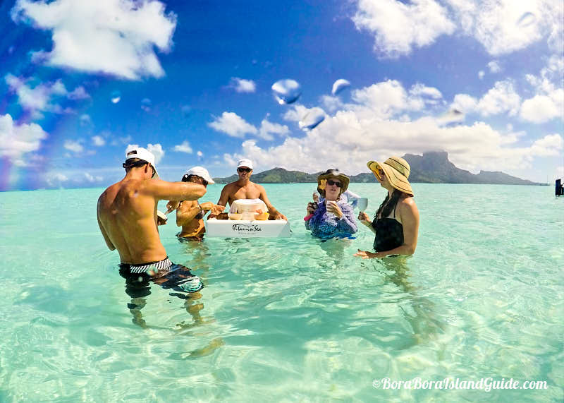 vitamin sea catamaran