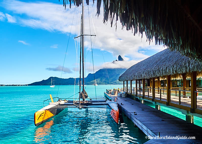 vitamin sea catamaran