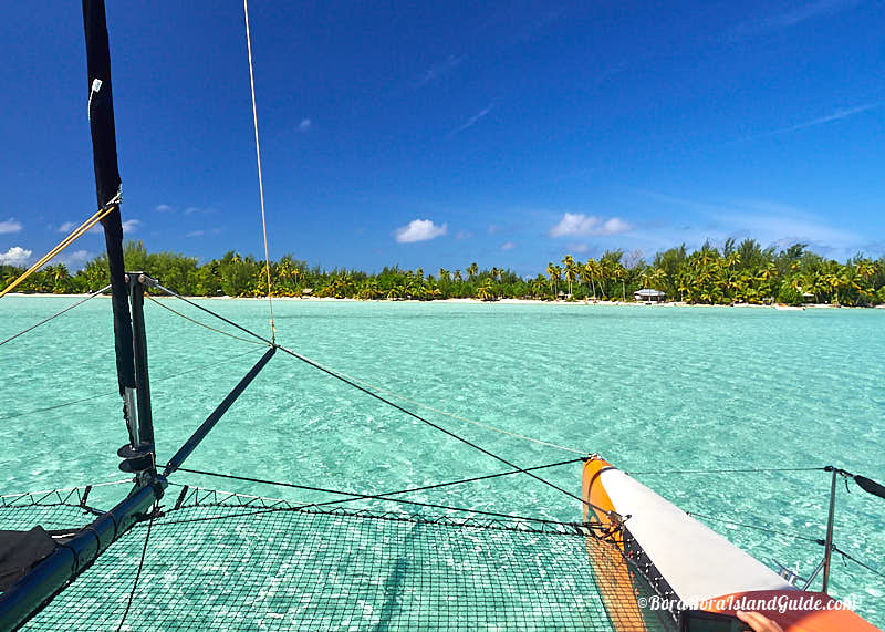 vitamin sea catamaran