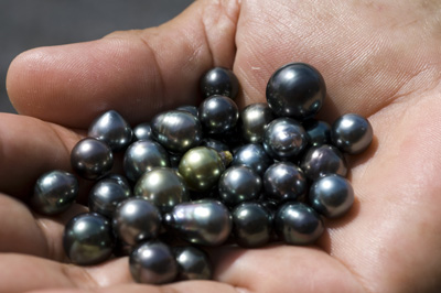 Tahitian Pearl Color Chart