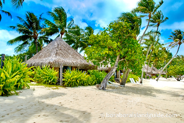 Beach Bungalows at the Intercontinental Le Moana