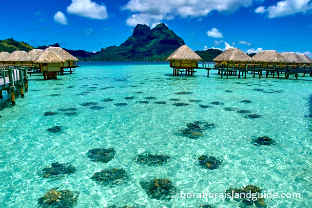 Bora Bora's crystal clear lagoon