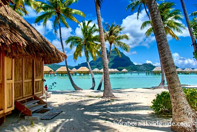 Beach Bungalows In Bora Getaway Among The Palm Trees