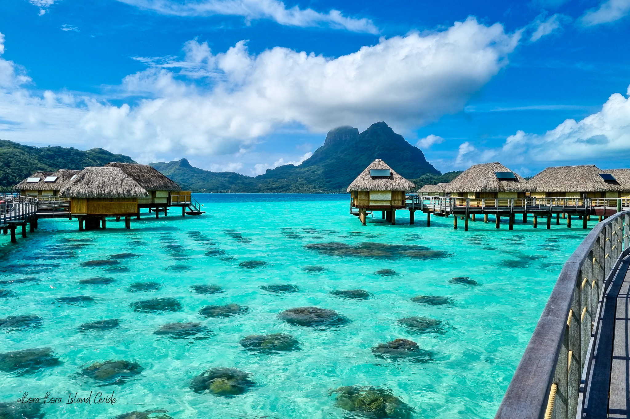 coral garden le bora bora